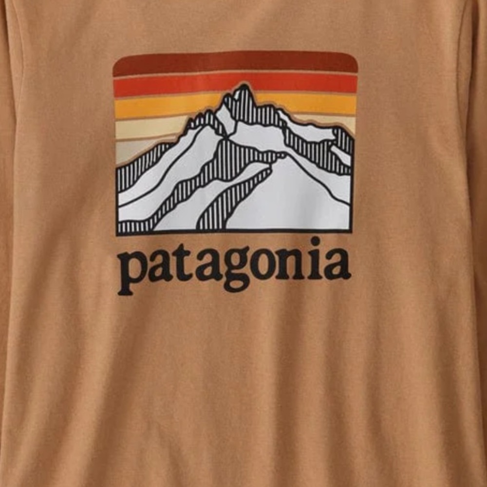 patagonia regenerative organic cotton graphic tee dark camel - Picture 1 of 5